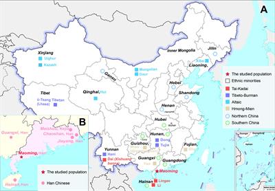 Insights Into Forensic Features and Genetic Structures of Guangdong Maoming Han Based on 27 Y-STRs